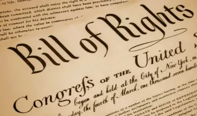 The Constitution and the Bill of Rights: Safeguarding Freedom and Democracy in the USA